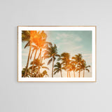 Miami Breeze (Flare) - Fine Art Photograph
