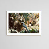 Modern Fine Art Photograph - Young Blue