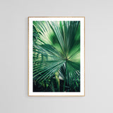 Modern Tropical Photograph - Everything Was Green #3