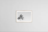 Modern Fine Art Photograph - Southern Breeze