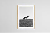 Modern Fine Art Photograph - Standing In The Sun #1
