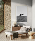 Modern Fine Art Photograph - Standing In The Sun #1