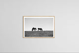Modern Fine Art Photograph - Standing In The Sun #2