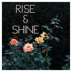 Rise & Shine (Rose) - Fine Art Photograph