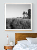Walk This Way - Fine Art Photograph