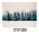 Winter and Woods - Postcard