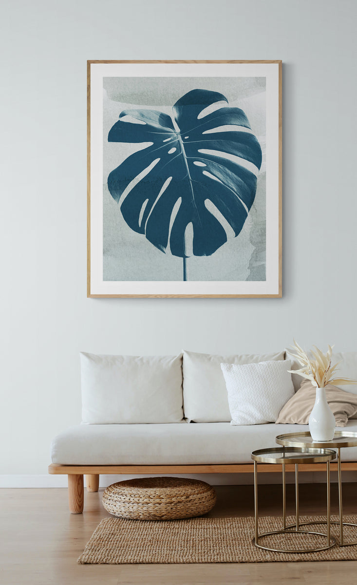 blue monstera plant Blue Monstera #4