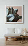 Ficus Elastica #2 -  Fine Art Photograph