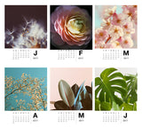 Botanical Reverie : 2017 Calendar