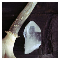 Ice and Bone - Fine Art Photograph