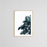 Cyan Palm #1 - Fine Art Photograph
