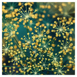 Dill #5 - Fine Art Photograph