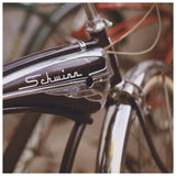 Schwinn - Fine Art Photograph