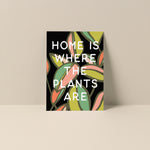 Home Is Where The Plants Are - Blank Notecard