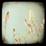 Square Mini Print - Your Choice