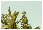 Modern Fine Art Photograph - California Green