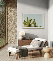 Modern Fine Art Photograph - California Green