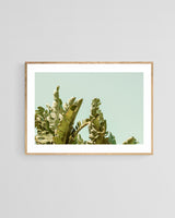Modern Fine Art Photograph - California Green