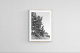 Modern Fine Art Photograph - Dune Study #1