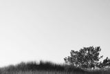 Modern Fine Art Photograph - Dune Study #5