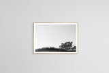 Modern Fine Art Photograph - Dune Study #5