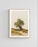 Modern Fine Art Photograph - Feels Like Home #4