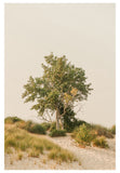 Modern Fine Art Photograph - Feels Like Home #4