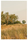 Modern Fine Art Photograph - Feels Like Home #3