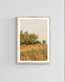 Modern Fine Art Photograph - Feels Like Home #3