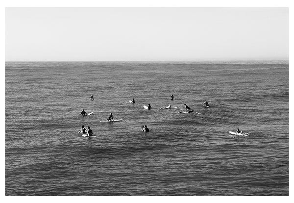 Modern Coastal Fine Art Photograph - Friends and Neighbors #2