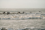 Modern Fine Art Photograph - Glide