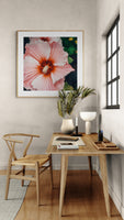 Modern Floral Photograph - Hibiscus Stripe