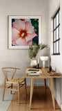 Modern Floral Photograph - Hibiscus Stripe