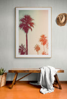 Modern Tropical Photograph - High Vibes