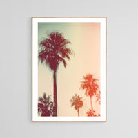 Modern Tropical Photograph - High Vibes