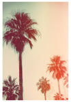 Modern Tropical Photograph - High Vibes