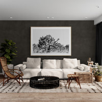 Modern Fine Art Photograph - Joshua Tree #1