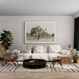 Modern Fine Art Photograph - Joshua Tree #1