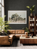 Modern Fine Art Photograph - Joshua Tree #1