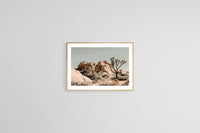 Modern Fine Art Photograph - Joshua Tree #3