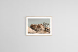 Modern Fine Art Photograph - Joshua Tree #3