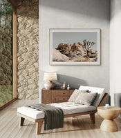 Modern Fine Art Photograph - Joshua Tree #3