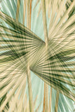 Modern Fine Art Abstract Photograph - Long Afternoon