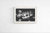 Modern Fine Art Print - Midnight Anemone #1