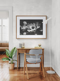 Modern Fine Art Print - Midnight Anemone #1