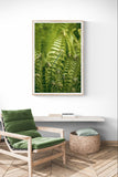 Modern Fine Art Photograph - Morning Fern #1