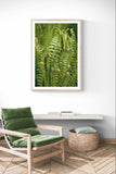 Modern Fine Art Photograph - Morning Fern #4