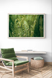 Modern Fine Art Photograph - Morning Fern #6