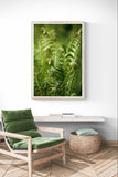 Modern Fine Art Photograph - Morning Fern #7