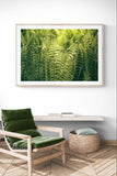 Modern Fine Art Photograph - Morning Fern #5